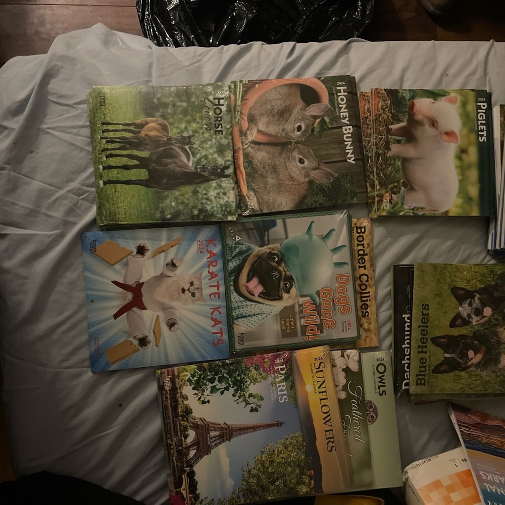 NWT 2024/2025 small calendars! Half retail price